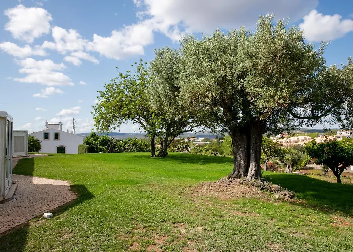 Cerca Velha - Country House