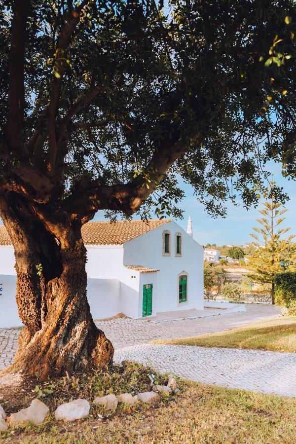 Cerca Velha - Holiday home Albufeira