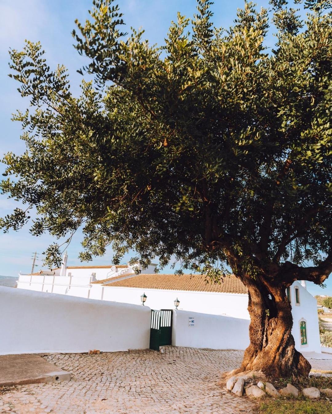 Cerca Velha - Holiday home