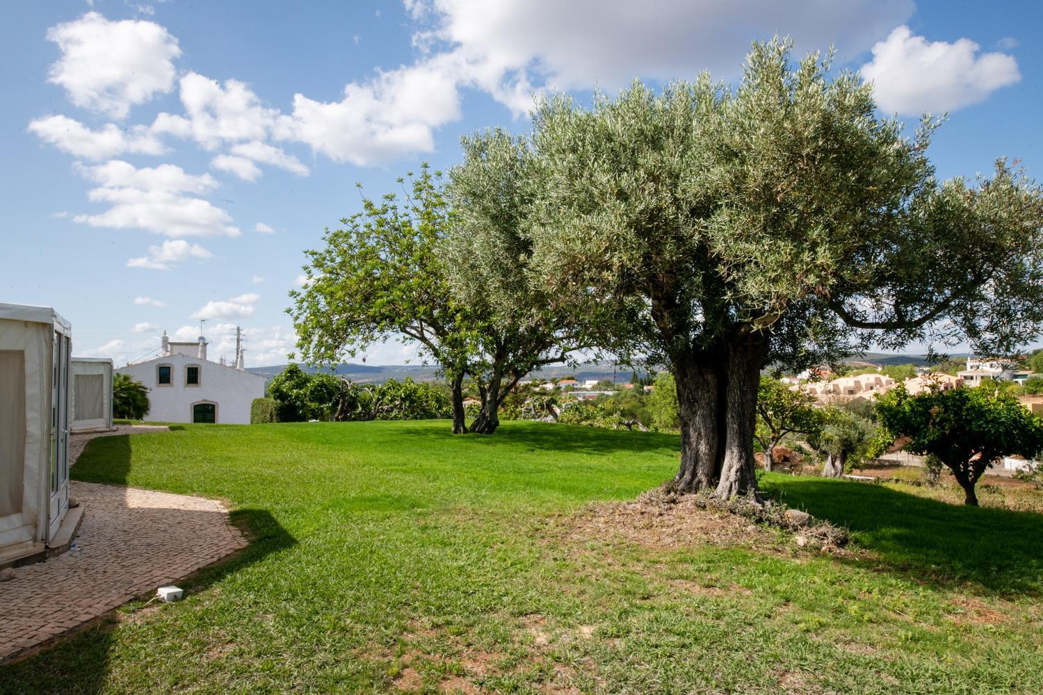 Cerca Velha - Holiday home *
